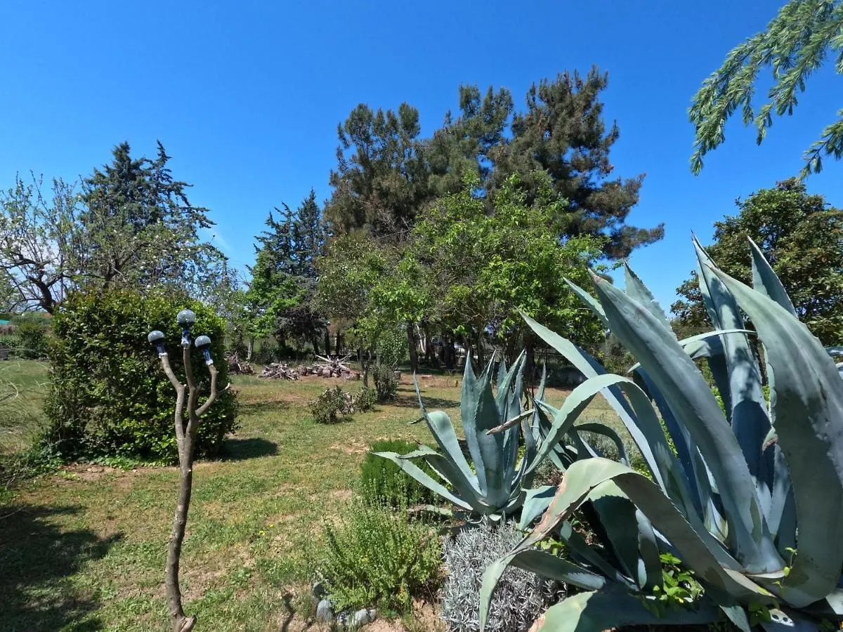 Pond And Pines, By Nice House By The Sea! Epanomí